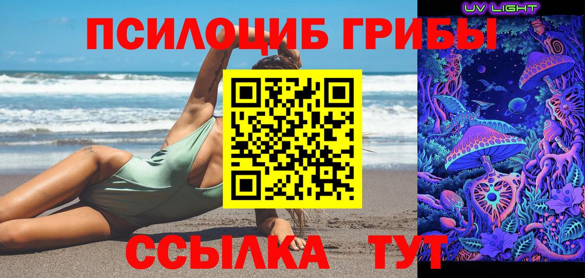 Псилоцибиновые грибы Psilocybe Чусовой